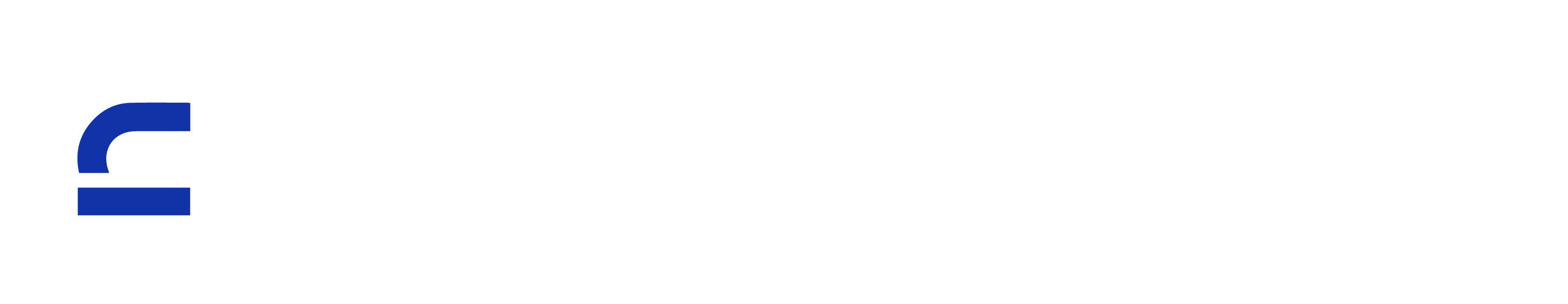 Nsisong Labs Logo