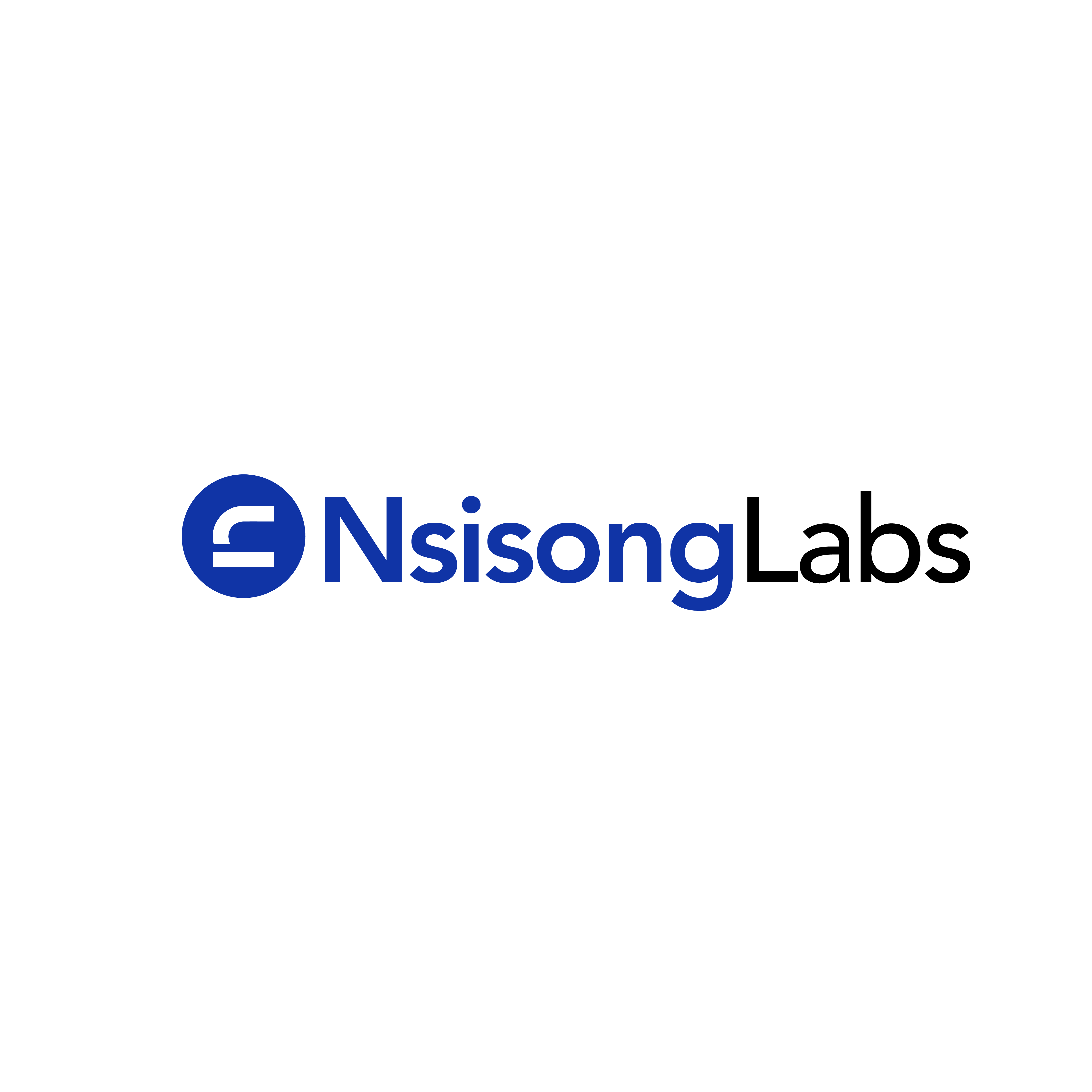 Nsisong Labs Logo